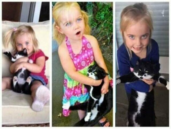 О дружбе О дружбе