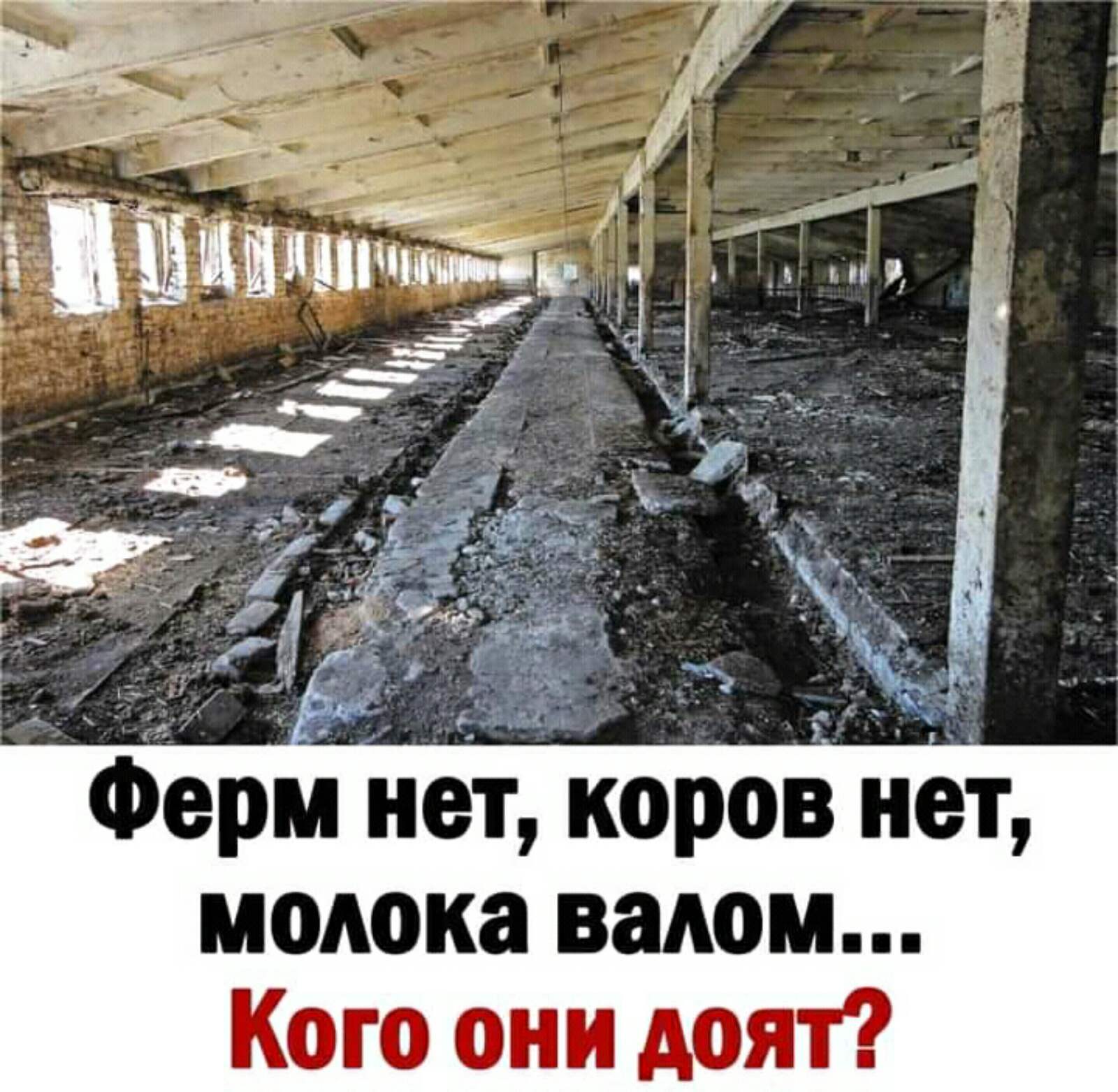 Поднимаем настроение на весь день! Поднимаем настроение на весь день!