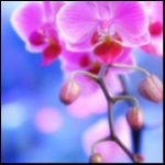 13 триллионов для диктатуры либерастии – на «после свержения Путина» М.Делягин россия