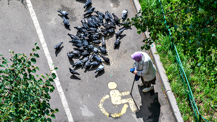 ПЕНСИИ ДЛЯ МЁРТВЫХ – ЛИШЬ ВЕРХУШКА АЙСБЕРГА. САМЫЕ ГРОМКИЕ АФЕРЫ ПЕНСИОННОГО ФОНДА