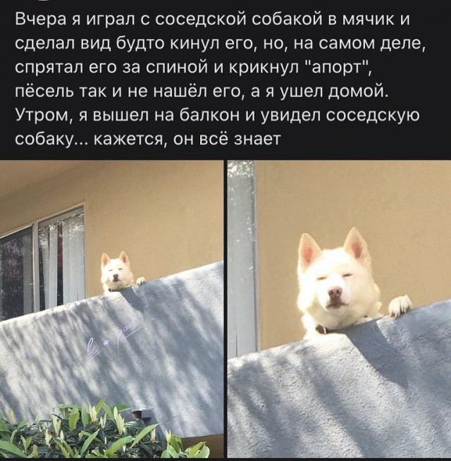 Забавные и позитивные фотографии с надписями для улыбки Забавные и позитивные фотографии с надписями для улыбки картинки с надписями,красивые фотографии,смешные комментарии,шикарные фотографии,юмор