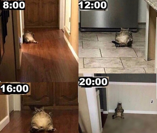 Подборка прикольных фото Подборка прикольных фото смешные картинки