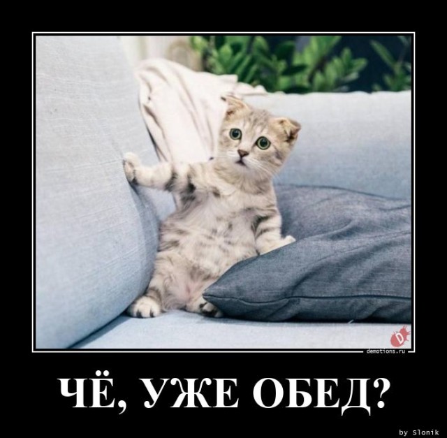 Демотиваторы в конце недели: «Фотография жены в бумажнике…»  