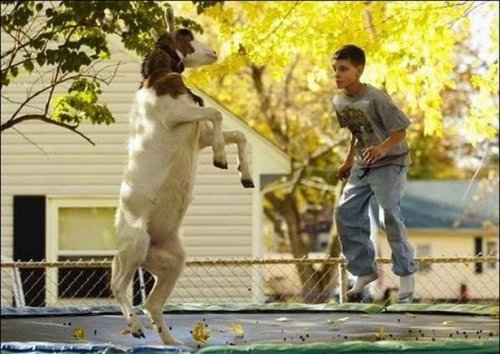 Что здесь происходит?! (24 фото)