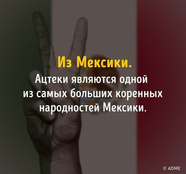 Тест на эрудицию: 13 вопросов, которые покажут, не пора ли вам обратно в школу