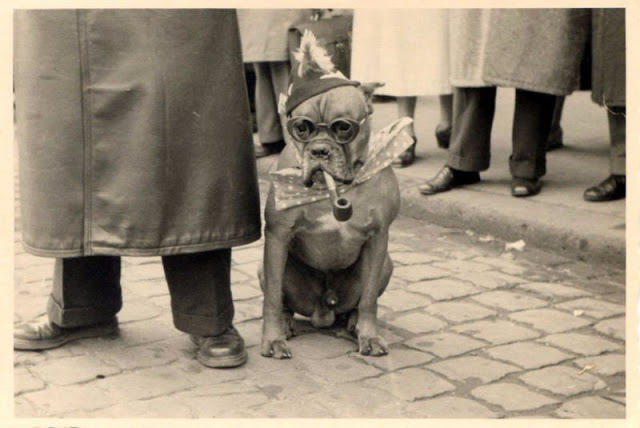 Дружба животных и людей на фотографиях 19 века