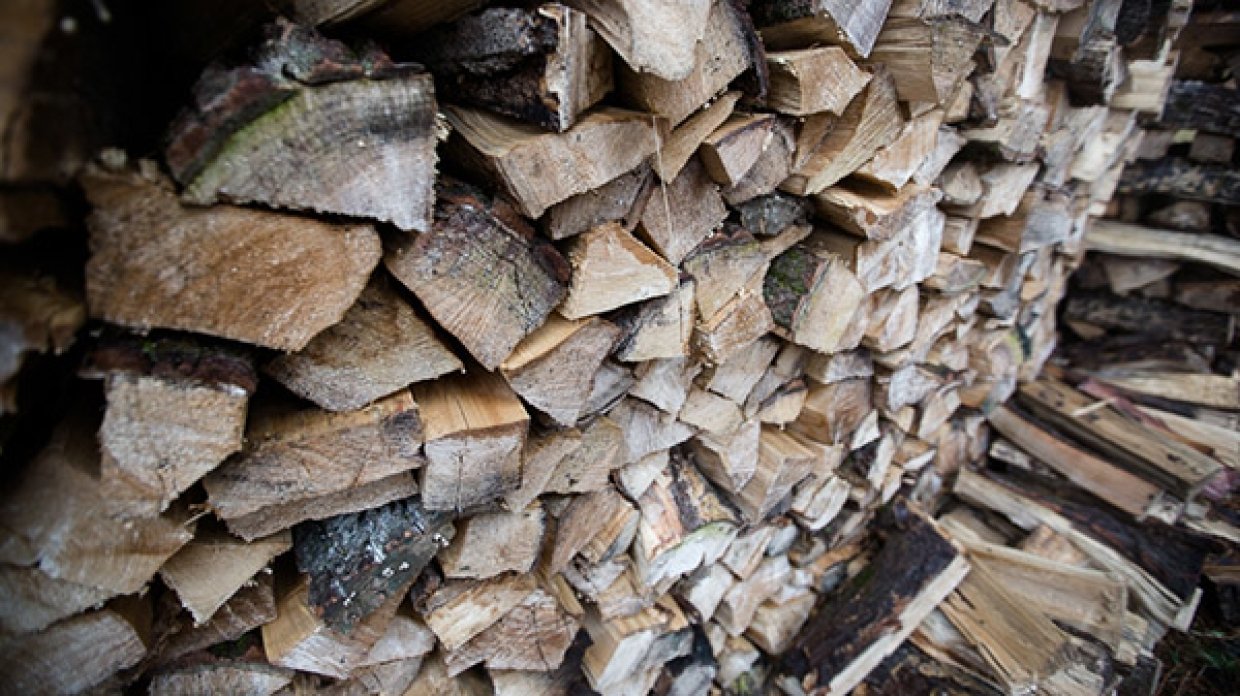 Облгосадминистрация на родине Яценюка запаслась дровами на зиму