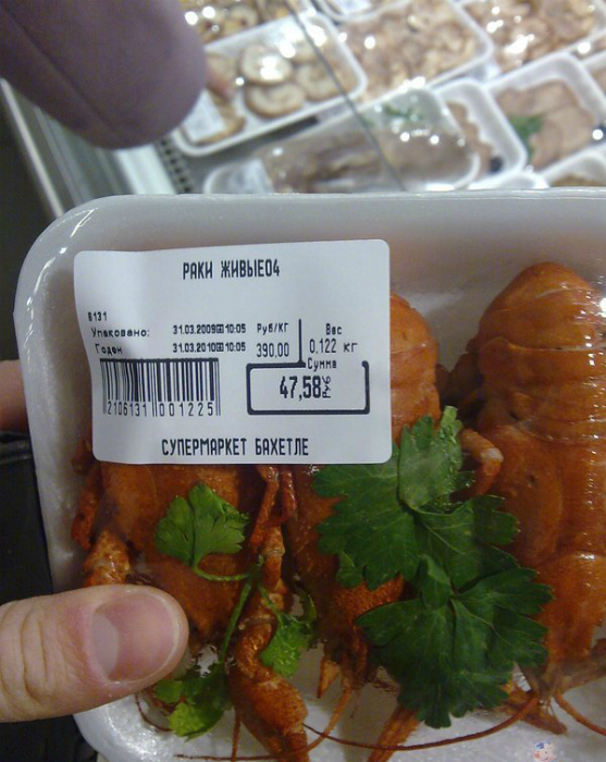 Картинки продукты приколы, про кроликов