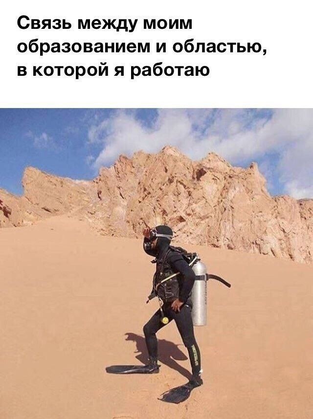 Смешные картинки про работу, жизнь и верное решение 