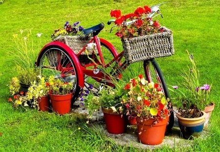 Старые велосипеды, превращенные в шикарные клумбы желании, смотрятся, композиции, использованием, велосипедов, клумбы, можно, Интересно, кашпо, велосипеде, закрепленных, содержимое, меняя, растений, возможность, замены, непрерывное, является, такой, преимуществом