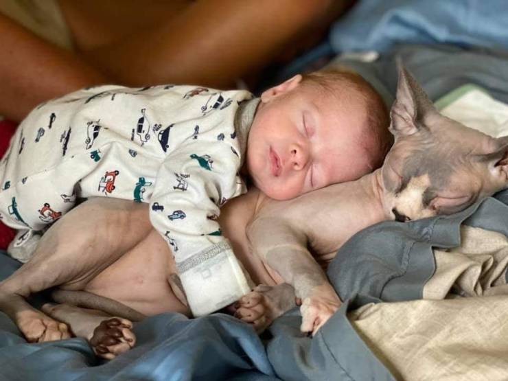 Подборка картинок. Вечерний выпуск  приколы,смешные картинки,юмор