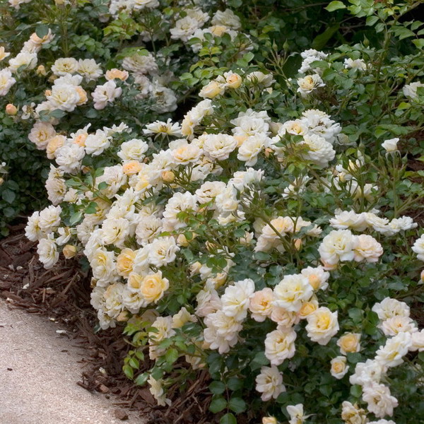 landscape-design-for-romantics17-2