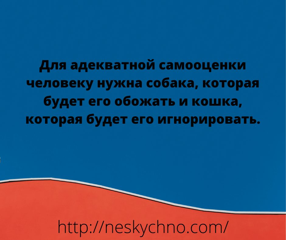 Шутки для хорошего настроения 