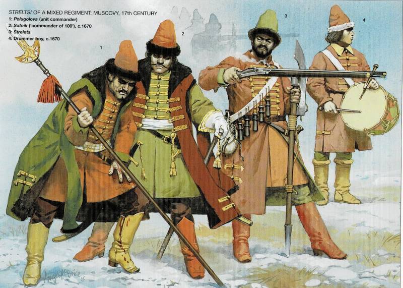Кафтаны по полкам: разноцветное стрелецкое войско допетровской Руси Кафтаны по полкам: разноцветное стрелецкое войско допетровской Руси история