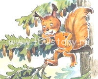 Чьи под липой шишки?