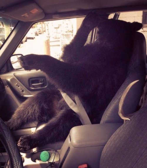 А где-то в России! А где-то в России! приколы,смешные картинки,юмор