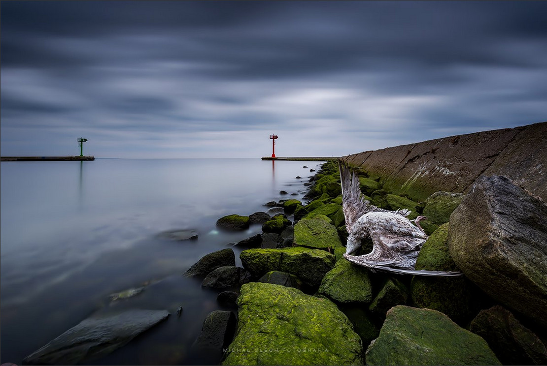 Романтичные пейзажи моря в фотографиях Михала Олеча (Michal Olech)