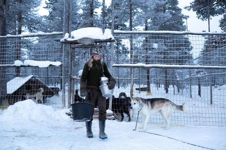 Жизнь в диких условиях, или любовь к Арктике арктика, жизнь