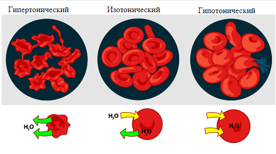 Чем нас лечат: Физраствор лекарства,медицина,наука,физраствор