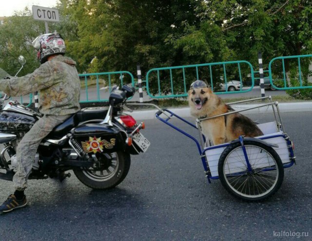 Сегодня – день рождения первого мотоцикла  Марки и модели,мотоциклы,юмор