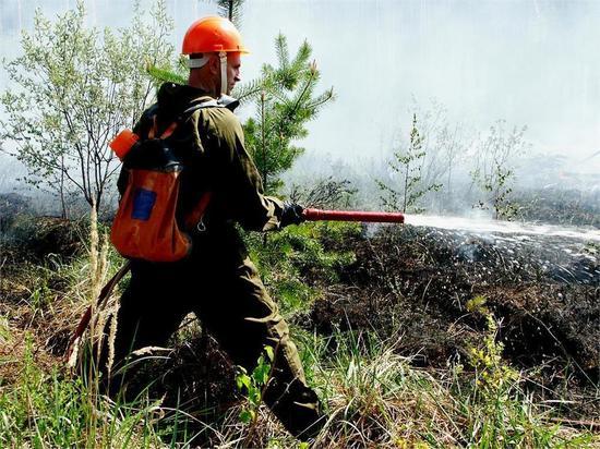 Площадь лесных пожаров в России выросла за сутки на 4,5 тысячи гектаров