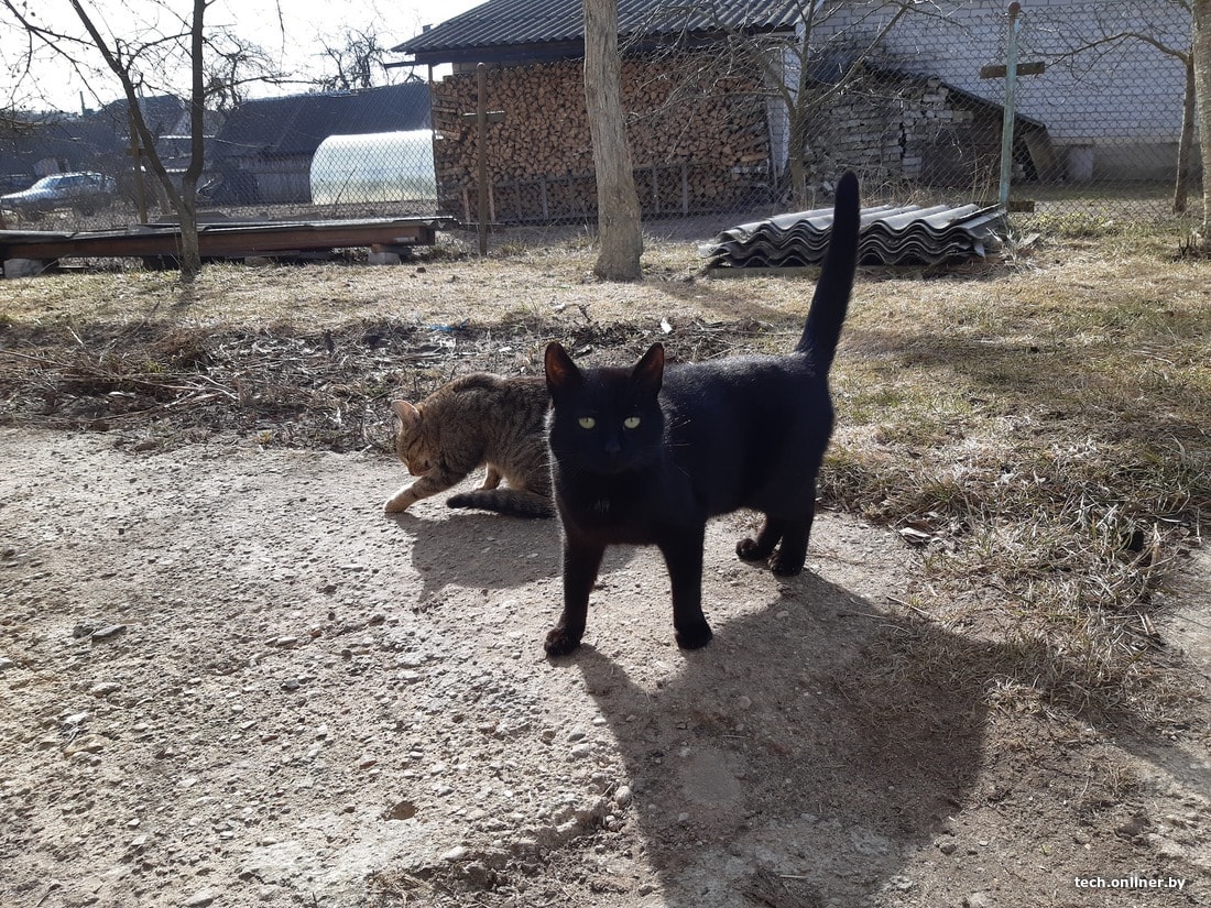 Samsung Galaxy A30 хочет стать вашим смартфоном. Все «за» и «против» samsung galaxy a30