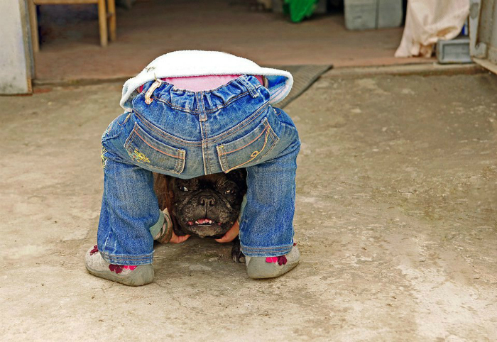 Что происходит или 17 смешных фотографий, к которым нужно присмотреться, чтоб понять Что происходит или 17 смешных фотографий, к которым нужно присмотреться, чтоб понять