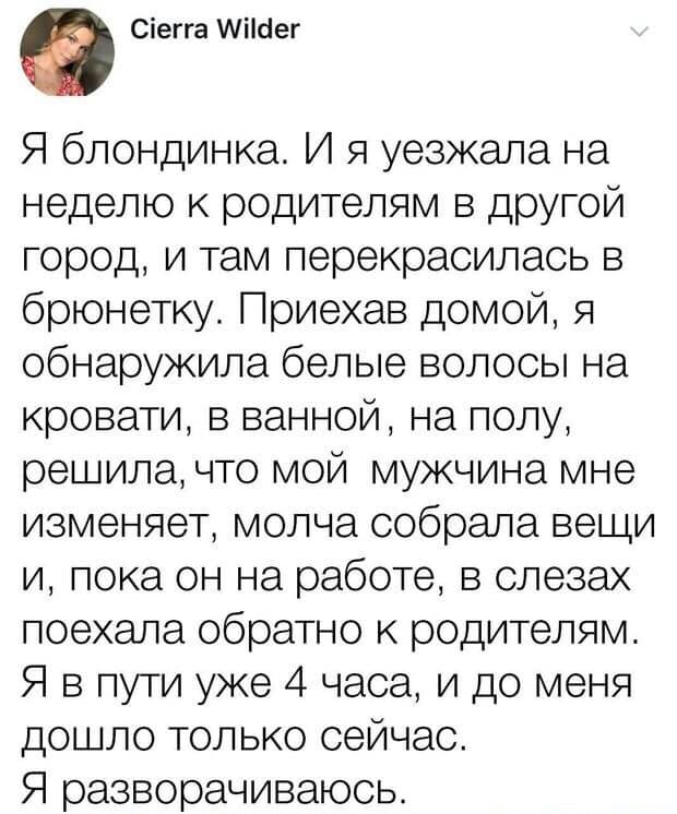 Все собаки и кошки в Беларуси родились при Лукашенко анекдоты,веселье,демотиваторы,котики,приколы,смех,юмор