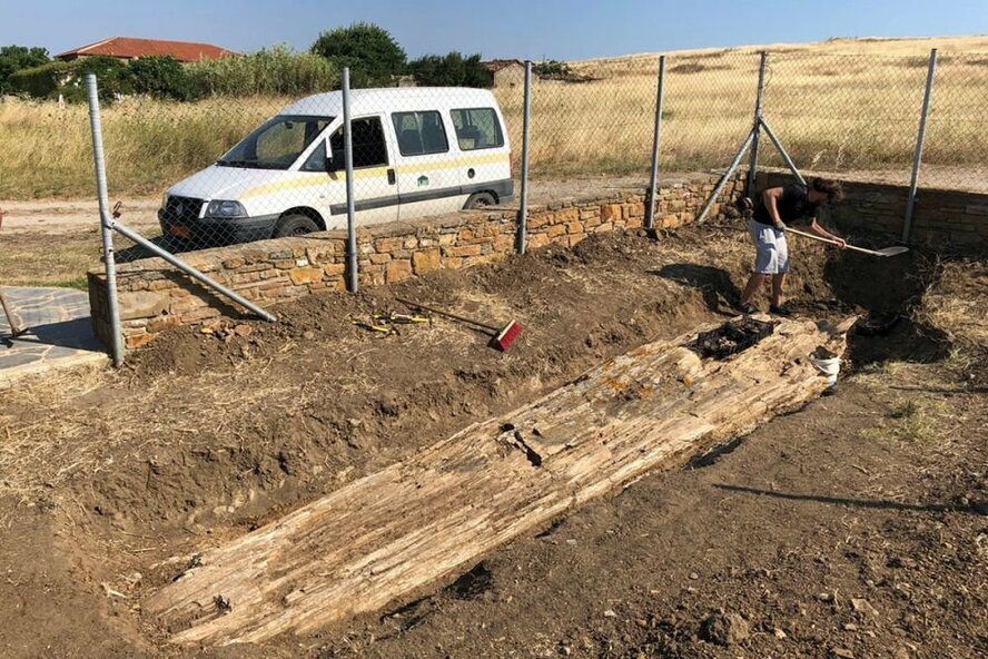 Источник: https://yandex.ru/turbo/s/rg.ru/2020/07/10/derevo-vozrastom-20-millionov-let.html