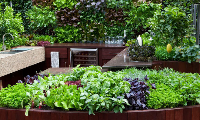 Современный Сад by Aralia: Innovation in Landscape Design