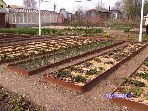 Ограждения для грядок: зачем, из чего и как