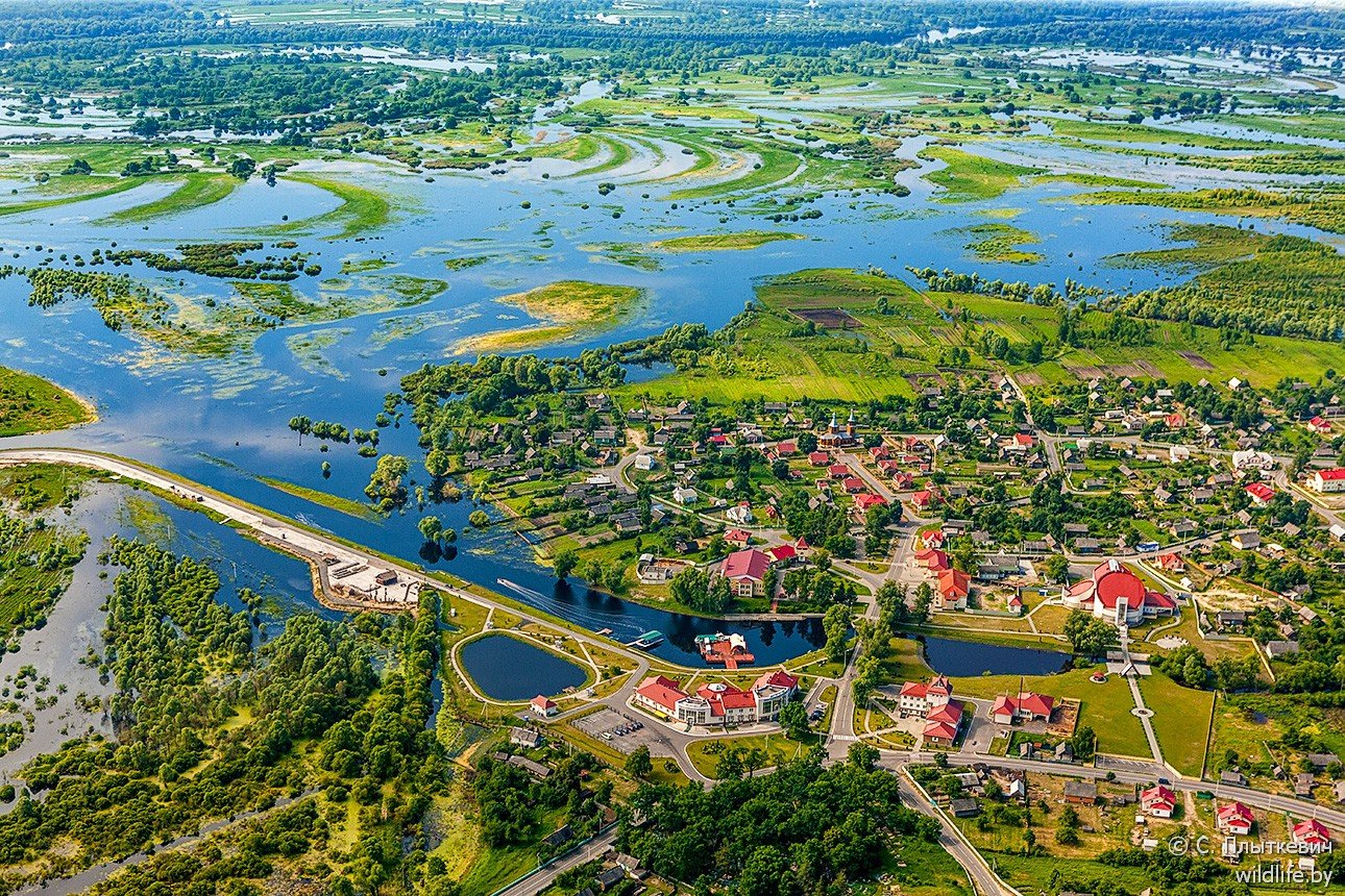 Беларусь это. Лясковичи Беларусь. Агрогородок Лясковичи. Белоруссия парк Припятский. Нац парк Припятский Лясковичи.