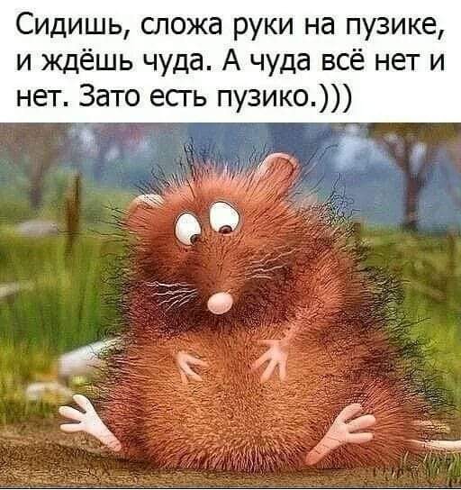 Классные шутки и анекдоты в картинках 