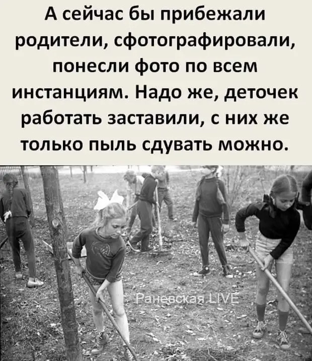 Парадокс! Если полная дура долго сидит на диете, то она становится стройной дурой, при этом оставаясь полной... 