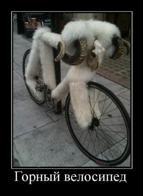 Новые демотиваторы-приколы (16 шт)