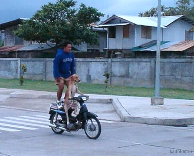 Сегодня – день рождения первого мотоцикла  Марки и модели,мотоциклы,юмор