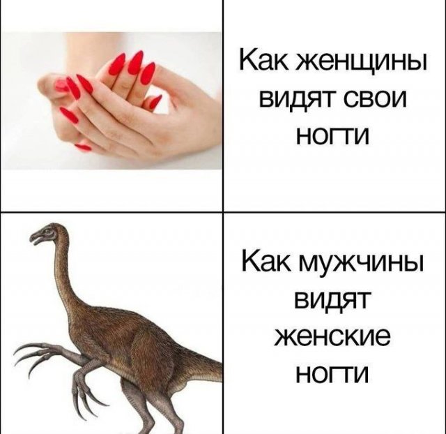 Если бы во времена Потопа вместо Ноя был Трамп, то Потопа бы не было Если бы во времена Потопа вместо Ноя был Трамп, то Потопа бы не было