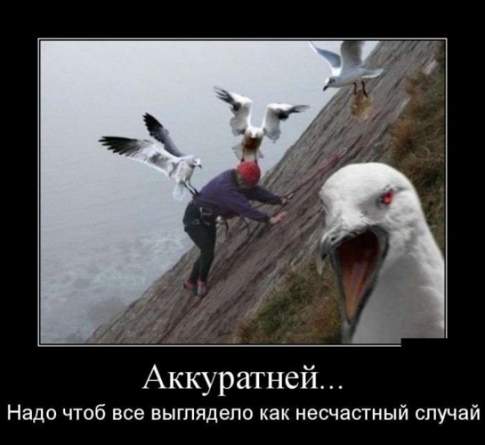 Огненная подборка новых анекдотов и шуток в картинках Огненная подборка новых анекдотов и шуток в картинках