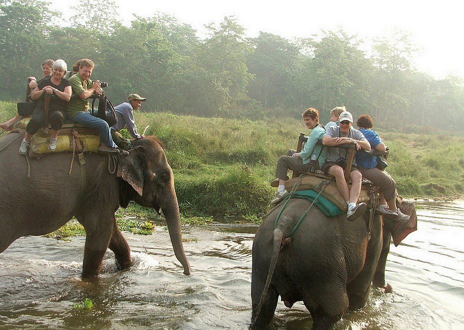 Знакомьтесь, слон животные,природа,Путешествия,фото