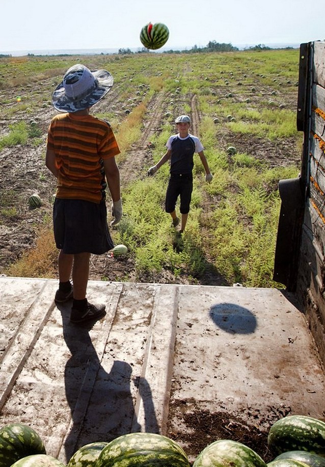 Треш на свежем воздухе: российская деревня живее всех живых