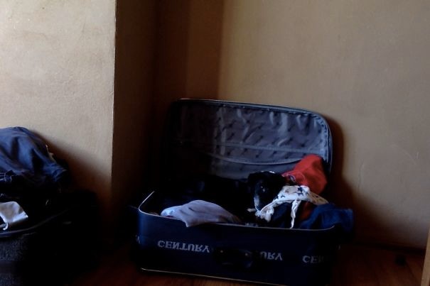30 животных, которые ведут себя самым наглым образом животные, забавно, наглосты, пакости, питомцы, фото, шалости, юмор