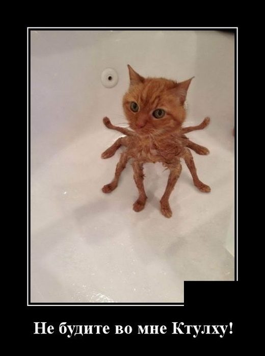 Самые улётные демотиваторы дня 