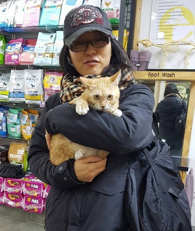 Котенок был так голоден, что ел грязь Free Korean Dogs, Дангджине, доброта, котёнок, спасение животных