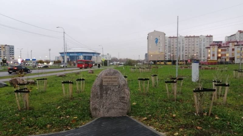 «Нам не нужна свалка под окнами»: жители Калининграда выступили против установки контейнеров Общество