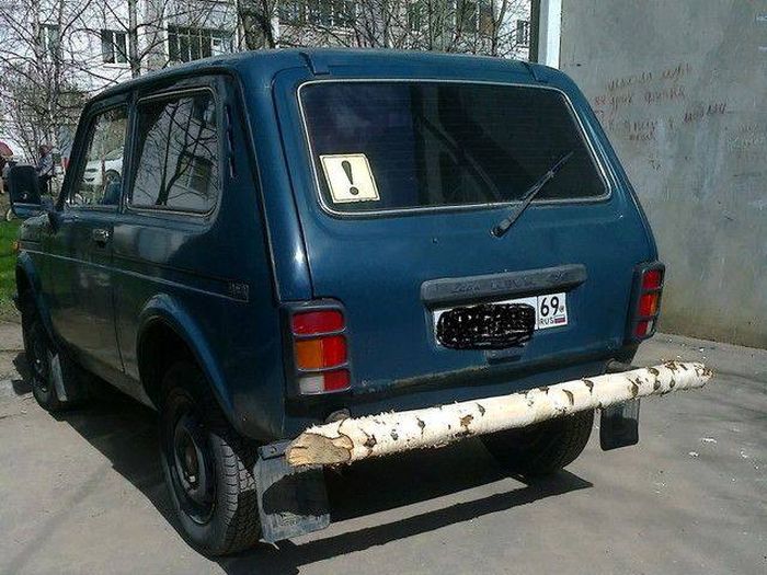 Позитивные картинки и веселые фото приколы на весь день (12 фото)
