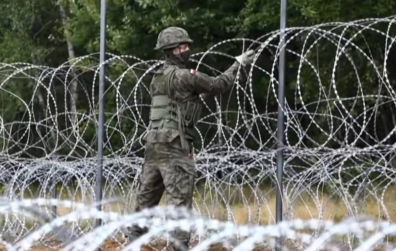 Экс-командир польского спецназа раскритиковал забор на границе с Беларусью Новости