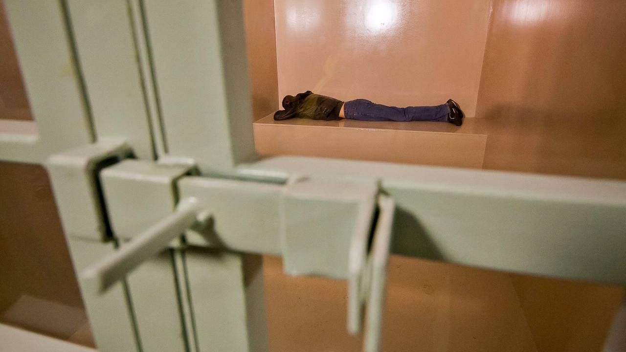 Подозреваемый в убийстве беременной жительницы Нижегородской области признался в содеянном