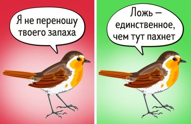 Факты о животных, в которые не стоит верить