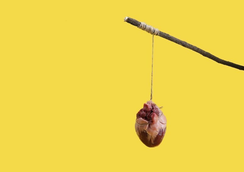 В Лондоне объявлены победители премии Sony World Photography Awards 2019 В Лондоне объявлены победители премии Sony World Photography Awards 2019 фотография