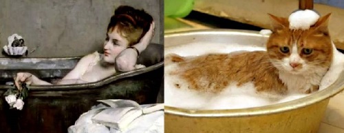 Стирка котэ - дело хлопотное!..